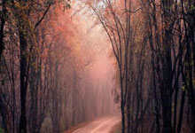 曼城大胜莱比锡，轻松晋级