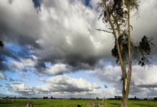 RB莱比锡主场失利，欧战资格岌岌可危