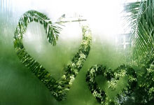 曼联抢分心切下场比赛对阵西汉姆联不容有失