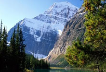 历经激烈角逐，欧洲国家队晋级欧冠预选赛