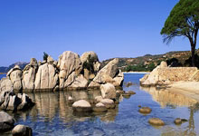 欧冠比赛场面一览无余，球员表现引人瞩目