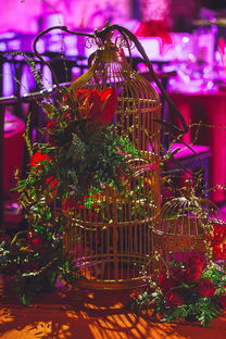 playace游戏-中国体坛年度颁奖典礼群星闪耀，中国体坛风云人物典礼颁奖词  第2张